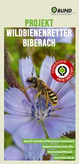 Wildbienenprojekt Biberach